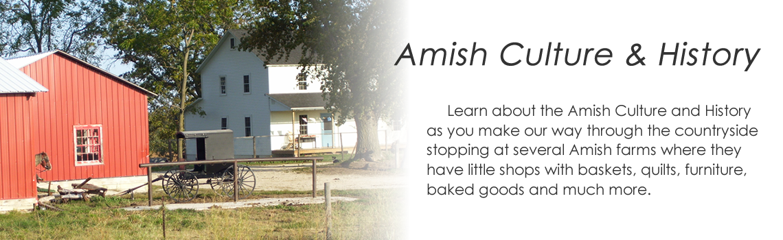 Amish Tours Of Harmony